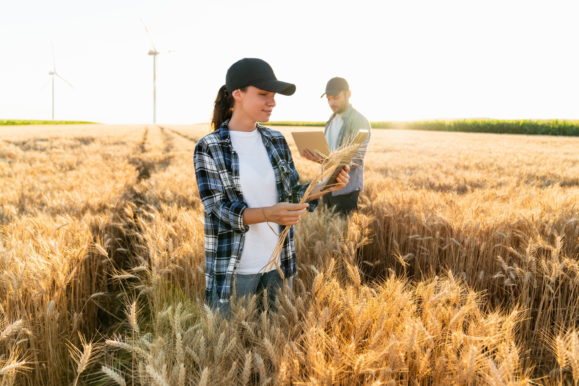 Couple of farmers examines the field of cereals and sends data to the cloud from the digital tablet and laptop on a background of wind turbines