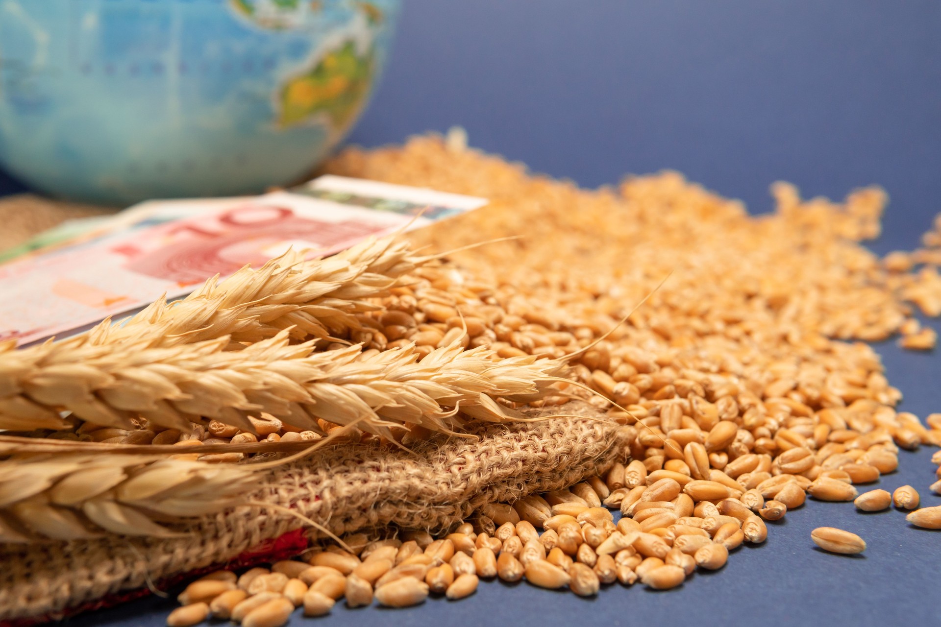 Ears of wheat and grains on the background of the euro banknote. The concept of harvesting, exporting, importing, drought in hot countries.